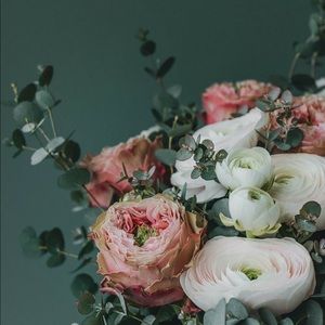 Meet your Posher, Caroline